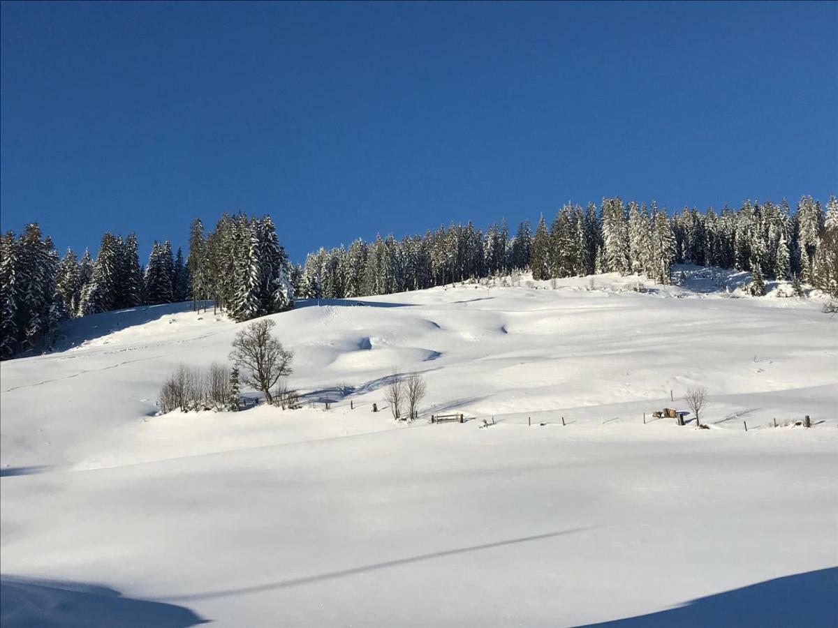 Bergpension Zinting Brixen im Thale Extérieur photo